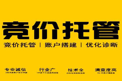 行业趋势下的SEM广告：成功案例与未来展望